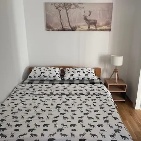 Divcinova B15 Apartment *