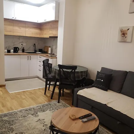 Apartment Divcinova B15